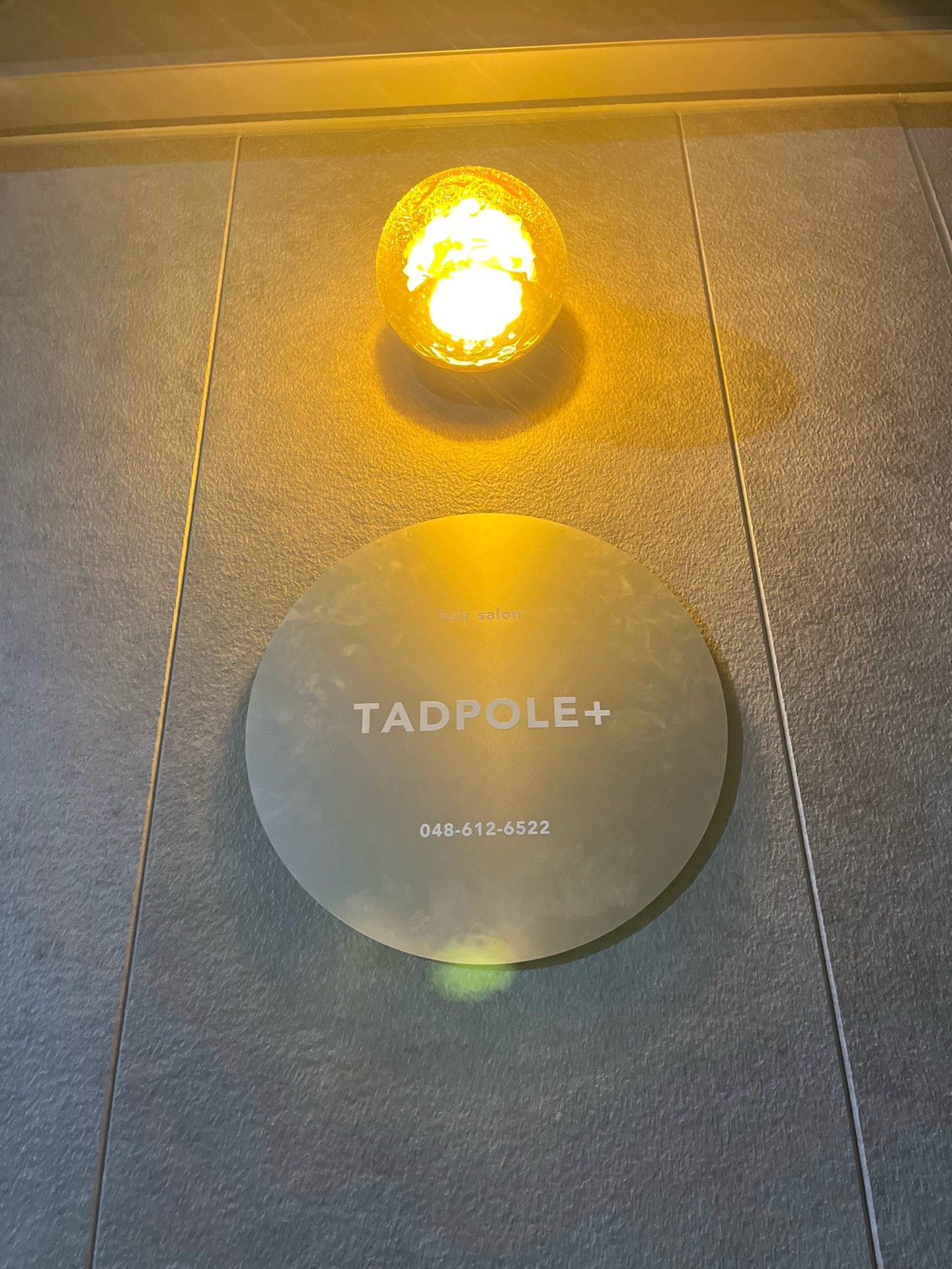 TADPOLE+ サインとランプ